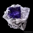 Fluorite on Quartz - image 5