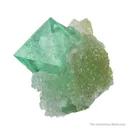 Fluorite on Quartz - image 3