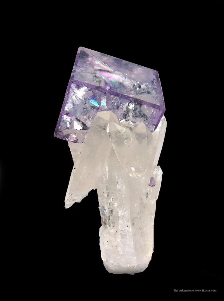 Fluorite on Quartz image
