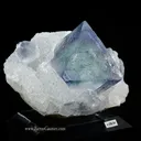 Fluorite on Quartz - image 1