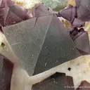 Fluorite on Quartz - image 2