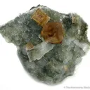Fluorite on Quartz - image 1