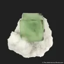Fluorite on Quartz - image 1