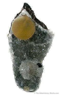 Fluorite on Quartz image