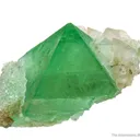 Fluorite on Quartz - image 3