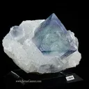 Fluorite on Quartz - image 1