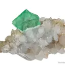 Fluorite on Quartz - image 7