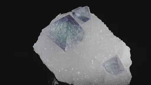 specimen video