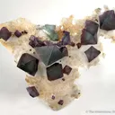 Fluorite on Quartz - image 1