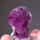 Fluorite on Quartz - image 2