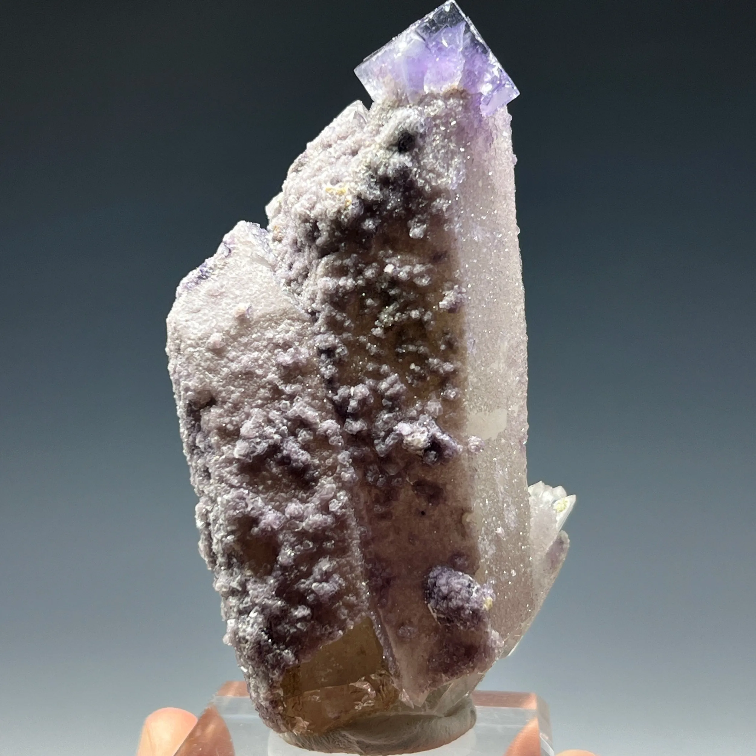 Fluorite on Quartz - image 4