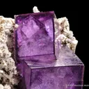 Fluorite on Quartz - image 4