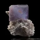 Fluorite on Quartz - image 3