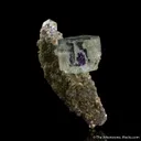 Fluorite on Quartz - image 5