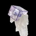Fluorite on Quartz - image 4