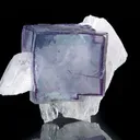 Fluorite on Quartz - image 5