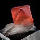 Fluorite on Quartz - image 1