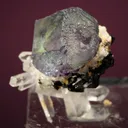 Fluorite on Quartz - image 4