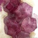 Fluorite on Quartz - image 3