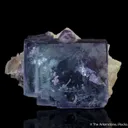 Fluorite on Quartz - image 5