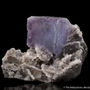Fluorite on Quartz - image 2
