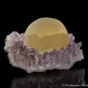 Fluorite on Quartz var. Amethyst - image 1