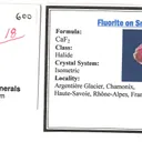 Fluorite on Quartz var. Smoky - image 4
