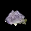 Fluorite on Quartz, with Arsenopyrite and Pyrite - image 4