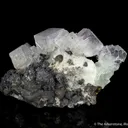 Fluorite on Quartz with Galena and Chalcopyrite - image 4