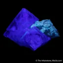 Fluorite on Quartz with Muscovite - image 6