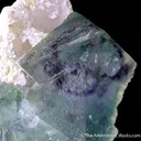 Fluorite on Quartz with Muscovite - image 7