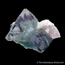 Fluorite on Quartz with Muscovite - image 3