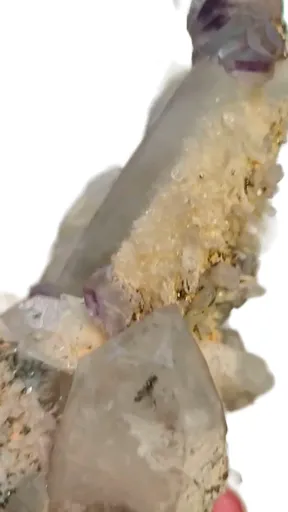 specimen video