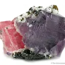 Fluorite on Rhodochrosite - image 4