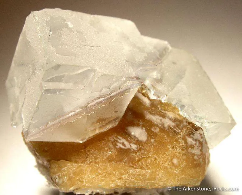 Fluorite on Scheelite image