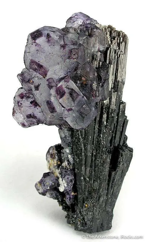 Fluorite on Schorl image