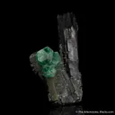 Fluorite on Schorl - image 5