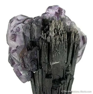 Fluorite on Schorl - image 3
