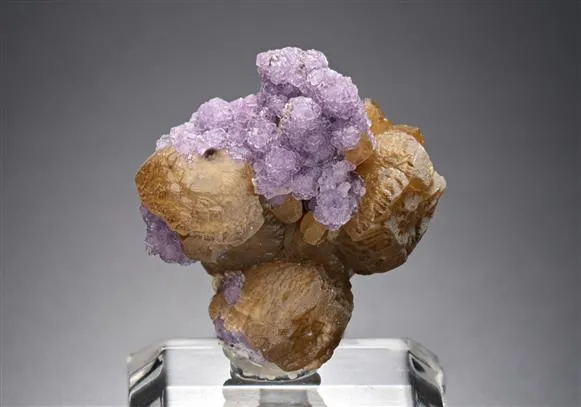 Fluorite on Siderite image