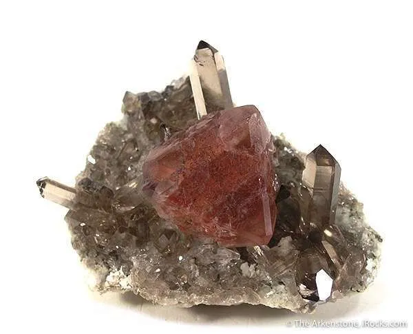 Fluorite on Smoky Quartz image