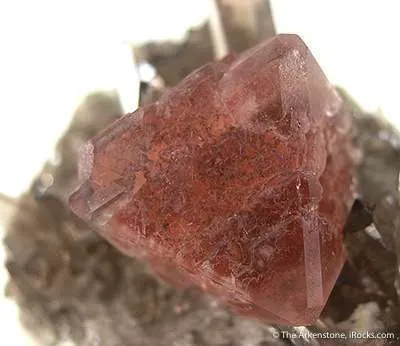 Fluorite on Smoky Quartz - image 2