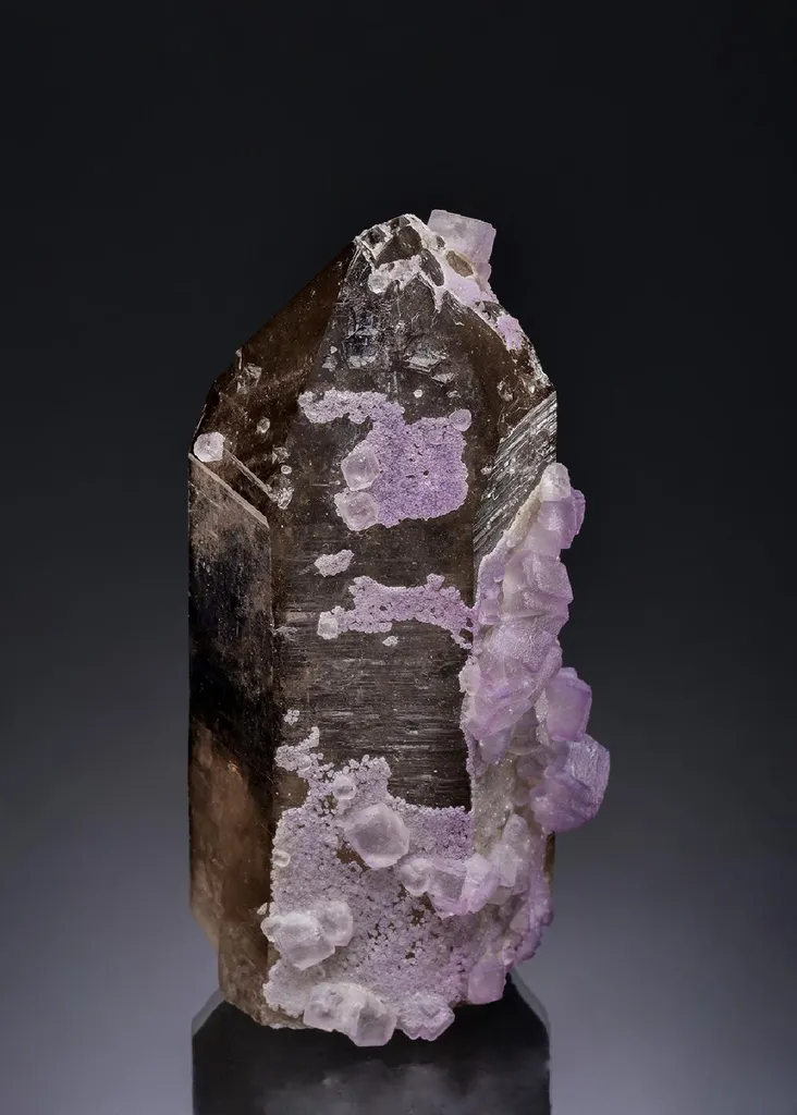 Fluorite on Smoky Quartz image
