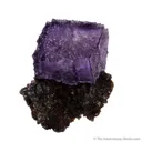 Fluorite on Sphalerite - image 2