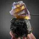 Fluorite on Sphalerite - image 1