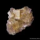 Fluorite on Sphalerite - image 5