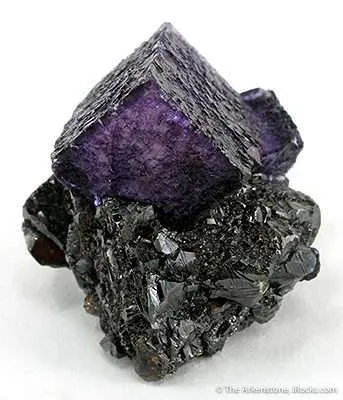 Fluorite on Sphalerite - image 3