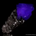 Fluorite on Sphalerite - image 6