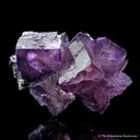 Fluorite on Sphalerite - image 3
