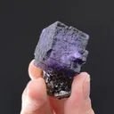 Fluorite on Sphalerite - image 2