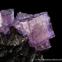 Fluorite on Sphalerite - image 3